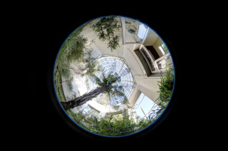 Fisheye