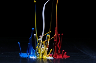 Color in Motion (22)