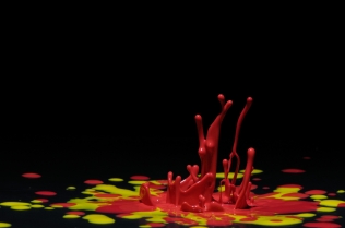 Color in Motion (30)