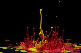 Color in Motion (31)