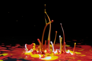 Color in Motion (33)
