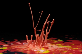 Color in Motion (34)