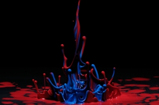 Color in Motion (36)