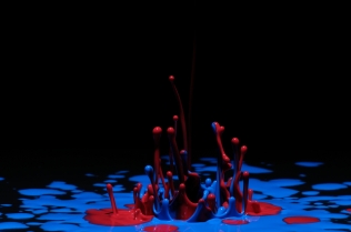 Color in Motion (37)