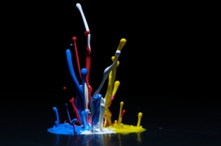 Color in Motion (42)