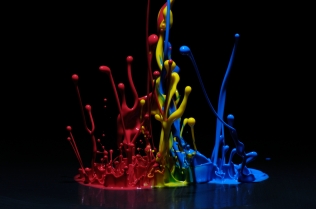 Color in Motion (48)
