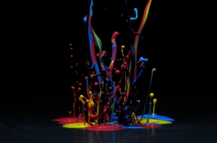 Color in Motion (49)