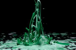 Color in Motion (55)