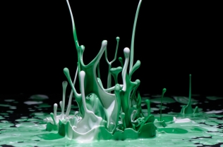 Color in Motion (56)