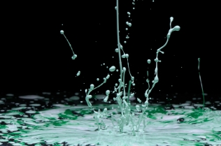 Color in Motion (60)