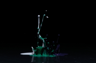 Color in Motion_63