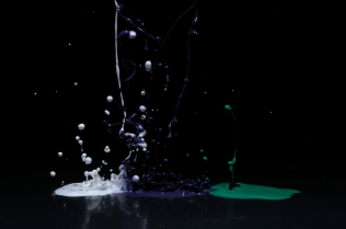 Color in Motion_69