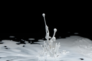 Color in Motion - White