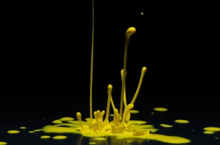 Color in Motion (2)
