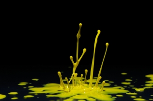 Color in Motion - Yellow
