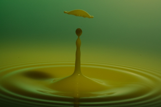 Tropfen in Wasser (296)