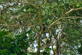 Gunung Raya
