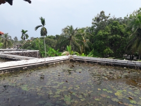 Rice Garden