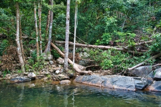 Seven Wells