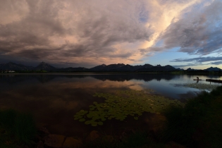 Video & Timelapse