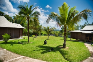 Villa Kelapa