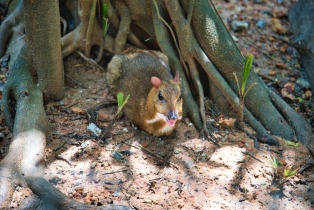 Wildlife Park