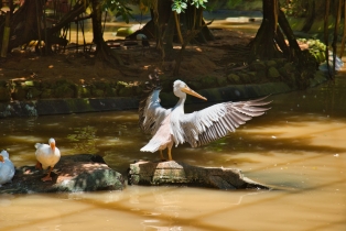 Wildlife Park