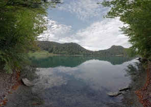 Alatsee