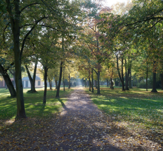 Schönbusch