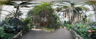 Palmengarten