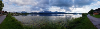  Hopfen am See (73)