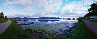 Hopfen am See (100)