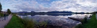 Hopfen am See (93)